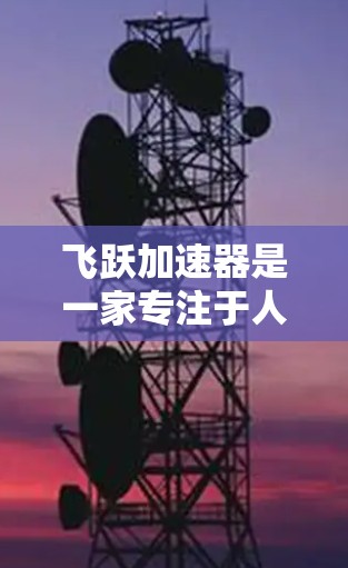 飞跃加速器是一家专注于人工智能和大数据技术的应用解决方案提供商。在海外，飞跃加速器已经建立了多个业务分部，并在全球范围内扩展了其业务。以下是对飞跃加速器海外节点的详细介绍
