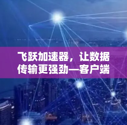 飞跃加速器，让数据传输更强劲—客户端解决方案