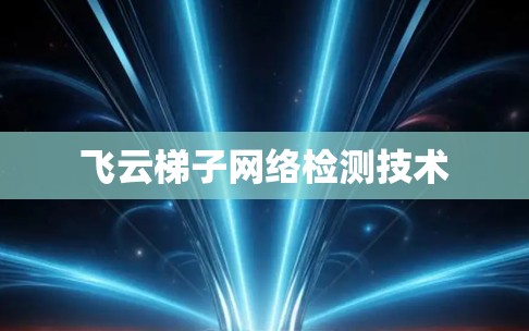 飞云梯子网络检测技术