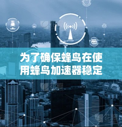 为了确保蜂鸟在使用蜂鸟加速器稳定梯子时的稳定性和高效性，需要从多个角度进行考虑和调整。以下是一些关键点