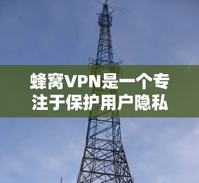 蜂窝VPN是一个专注于保护用户隐私和安全的VPN服务。以下是一些关于蜂窝VPN的版本更新信息，帮助您更好地了解和使用该服务