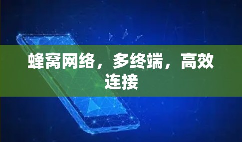 蜂窝网络，多终端，高效连接