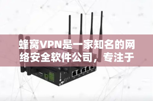 蜂窝VPN是一家知名的网络安全软件公司，专注于提供加密和VPN服务。蜂窝VPN的官方版通常指的是其官方推广的版本，该版本通常会提供全面的加密功能、安全防护和合规性保障