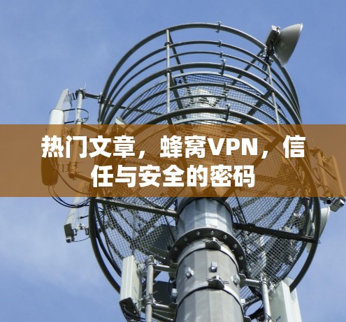 热门文章,蜂窝VPN,信任与安全的密码 热门文章,蜂窝VPN,信任与安全的密码