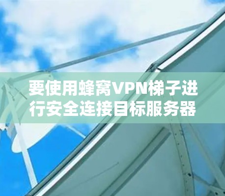 要使用蜂窝VPN梯子进行安全连接目标服务器,可以按照以下步骤进行 要使用蜂窝VPN梯子进行安全连接目标服务器,可以按照以下步骤进行
