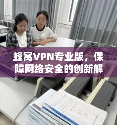 蜂窝VPN专业版，保障网络安全的创新解决方案