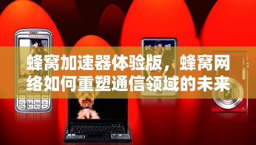 蜂窝加速器体验版，蜂窝网络如何重塑通信领域的未来