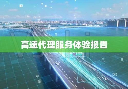 高速代理服务体验报告