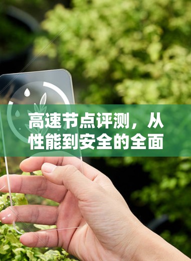高速节点评测，从性能到安全的全面评估