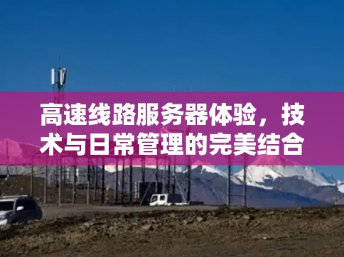高速线路服务器体验,技术与日常管理的完美结合 高速线路服务器体验,技术与日常管理的完美结合