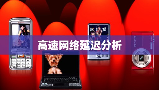 高速网络延迟分析