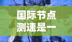 国际节点测速是一种通过传感器实时检测汽车速度的技术，广泛应用于交通管理领域，旨在优化交通流量和管理。以下是关于其详细信息的总结