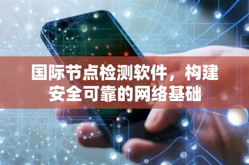 国际节点检测软件，构建安全可靠的网络基础
