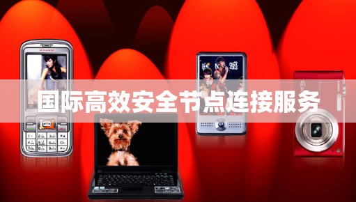 国际高效安全节点连接服务 国际高效安全节点连接服务