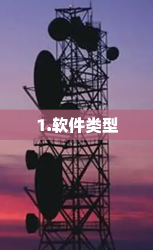 1.软件类型
