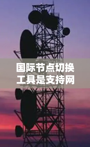 国际节点切换工具是支持网络设备在不同国际网络环境下的正常切换的工具，旨在提高网络环境管理的灵活性和效率。以下是关于这些工具的详细信息