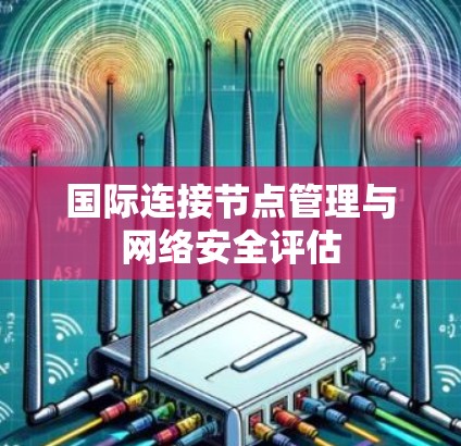 国际连接节点管理与网络安全评估