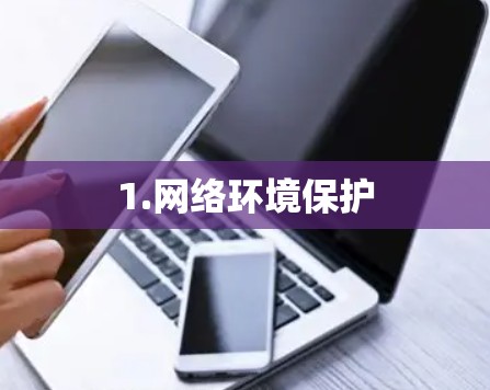 1.网络环境保护 1.网络环境保护