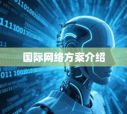 国际网络方案介绍