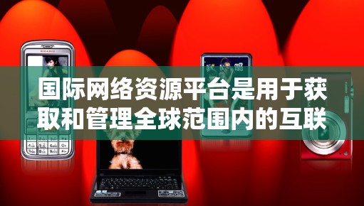 国际网络资源平台是用于获取和管理全球范围内的互联网资源的工具，主要包括以下几种类型