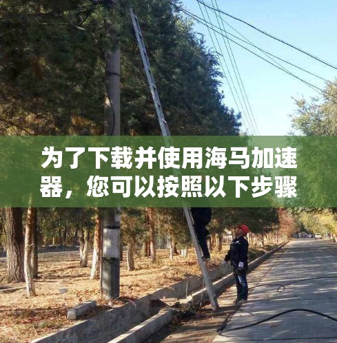 为了下载并使用海马加速器，您可以按照以下步骤操作
