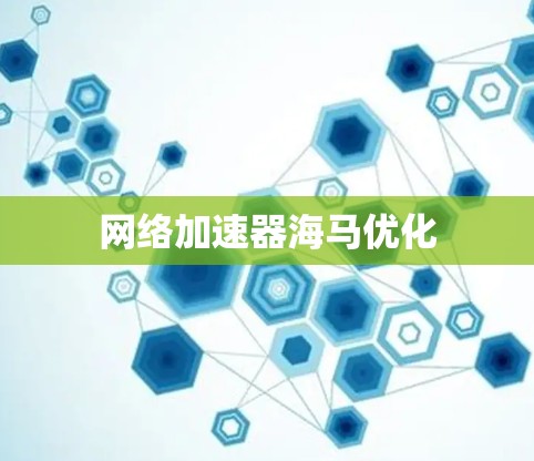 网络加速器海马优化 网络加速器海马优化