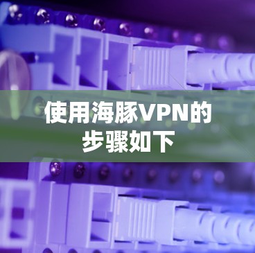 使用海豚VPN的步骤如下