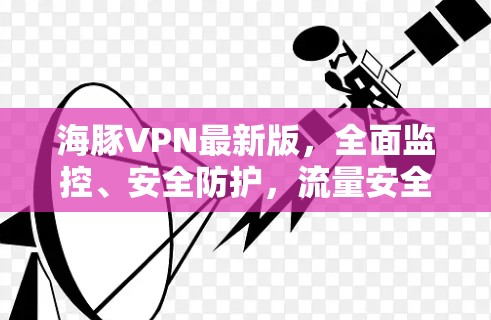海豚VPN最新版，全面监控、安全防护，流量安全管控