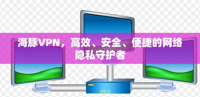 海豚VPN，高效、安全、便捷的网络隐私守护者