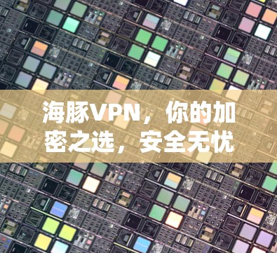 海豚VPN，你的加密之选，安全无忧！