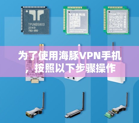 为了使用海豚VPN手机，按照以下步骤操作