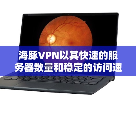 海豚VPN以其快速的服务器数量和稳定的访问速度,成为国内用户的热门选择。以下是对其速度的详细分析 海豚VPN以其快速的服务器数量和稳定的访问速度,成为国内用户的热门选择。以下是对其速度的详细分析