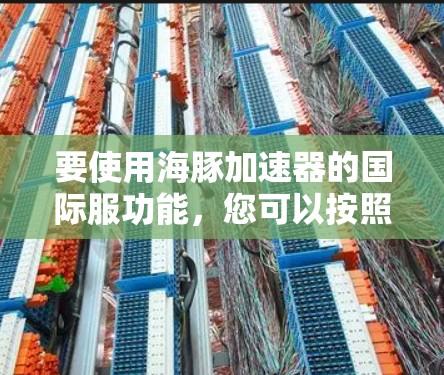 要使用海豚加速器的国际服功能，您可以按照以下步骤操作
