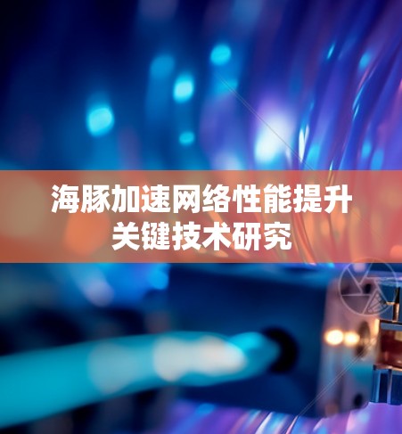 海豚加速网络性能提升关键技术研究