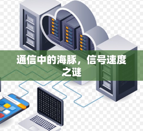 通信中的海豚,信号速度之谜 通信中的海豚,信号速度之谜