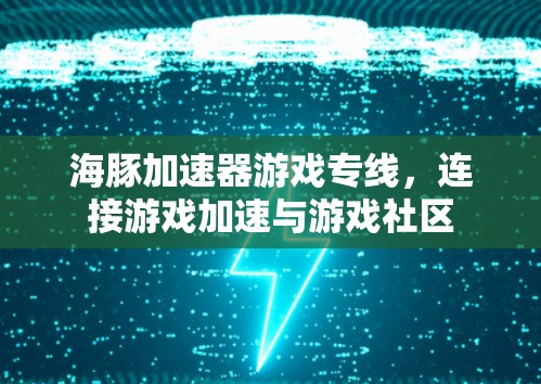 海豚加速器游戏专线,连接游戏加速与游戏社区 海豚加速器游戏专线,连接游戏加速与游戏社区