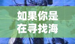 如果你是在寻找海外VPN电脑版客户端,以下是一些推荐的软件和工具,支持在电脑上运行VPN服务 如果你是在寻找海外VPN电脑版客户端,以下是一些推荐的软件和工具,支持在电脑上运行VPN服务