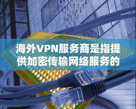 海外VPN服务商是指提供加密传输网络服务的提供商，这些服务商通常服务于全球各地的用户，以提供安全、可靠的网络连接。以下是一些主要的海外VPN服务商