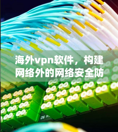 海外vpn软件，构建网络外的网络安全防护体系