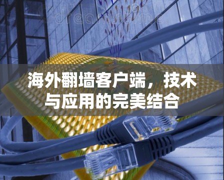 海外翻墙客户端，技术与应用的完美结合