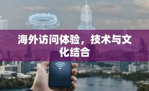 海外访问体验,技术与文化结合 海外访问体验,技术与文化结合